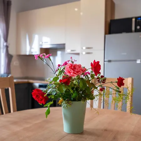 Apartman My Dalmatia - Blagdan Two With Private Parking *